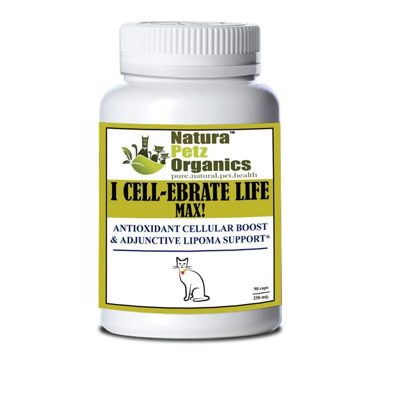 I Cellebrate Life Max - Antioxidant Cellular Boost + Adjunctive Lipoma Support*