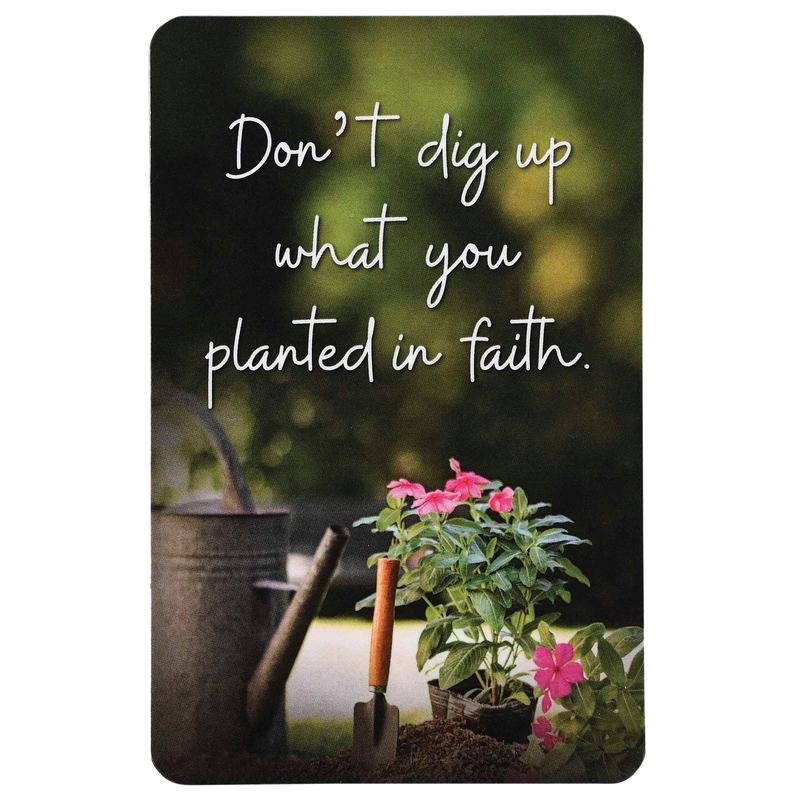 Pocketcard Dont Dig Up What You Planted