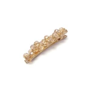 Champagne Crystal Hair Clip