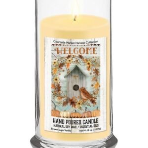 Courtside Market Welcome Birdhouse Status Candle Glass
